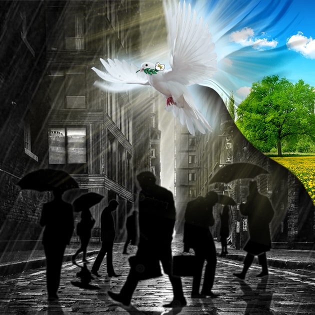 Osdis angel